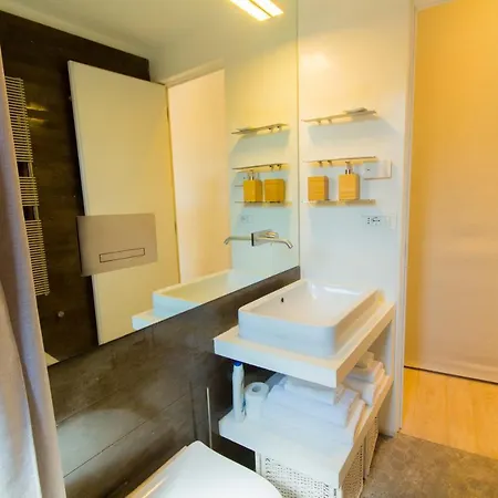 شقة Pelliccia 11 Trastevere Penthouse روما
